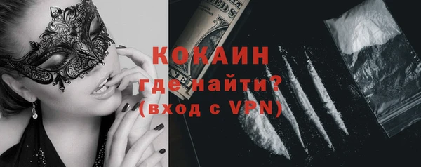 дурь Бронницы