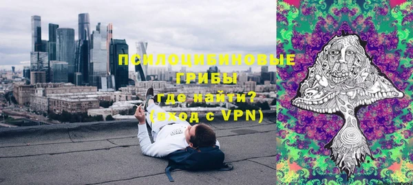 мяу мяу мука Бородино
