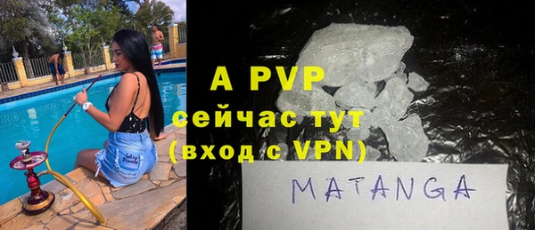 Альфа ПВП Бугульма