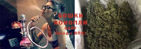 дурь Бронницы