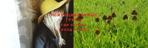 Альфа ПВП Бугульма