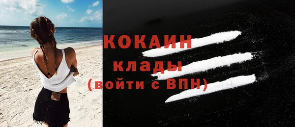 мяу мяу мука Бородино
